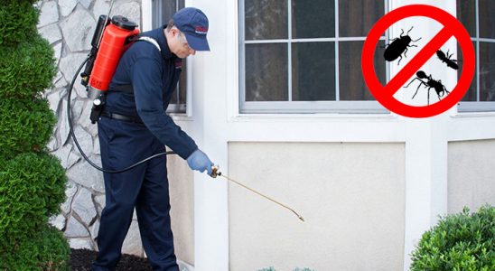 Kozaklı Tahtakurusu İlaçlama böcek ilaçlama ve haşere kontrolü — ilaclama-tr.com